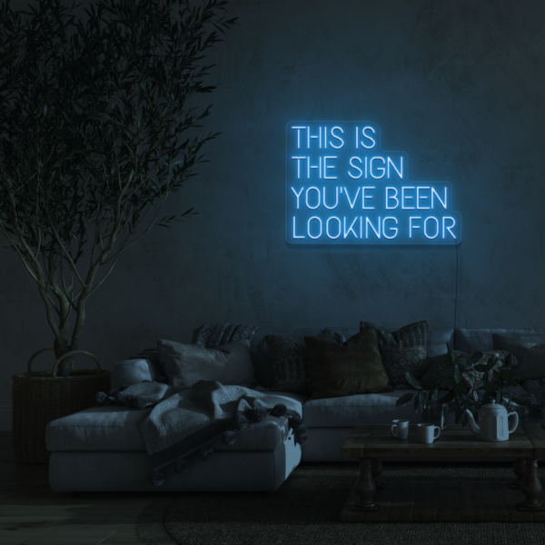 THIS IS THE SIGN YOU'VE BEEN LOOKING FOR