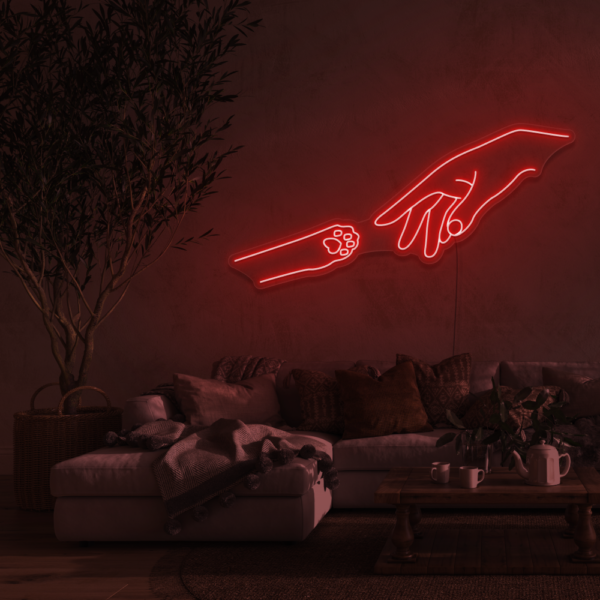 The creation of paw